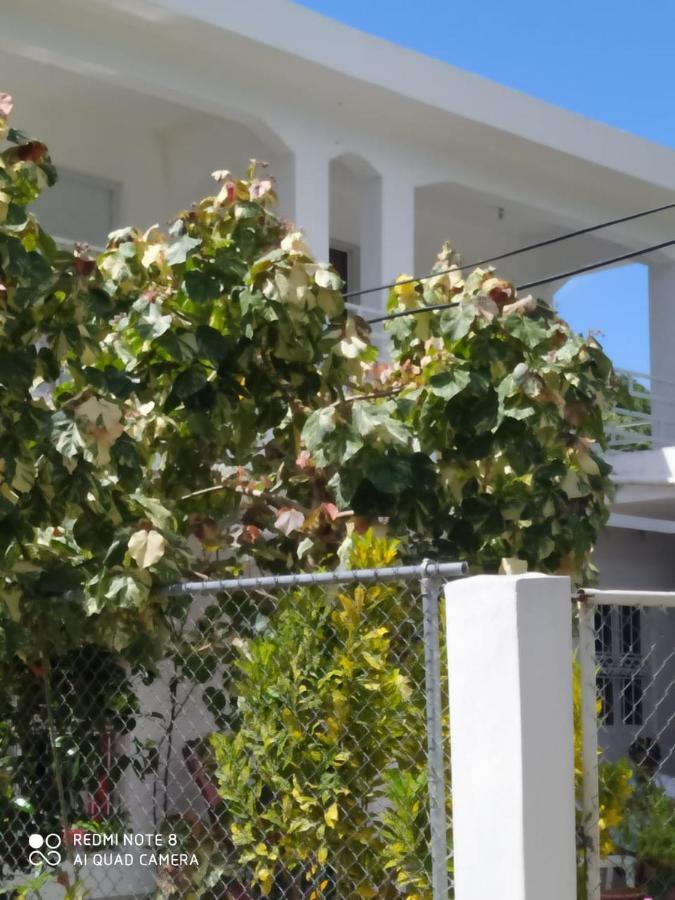 APARTAMENTOS Vero LAS TERRENAS Exterior foto